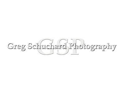 Greg Schuchard Photography